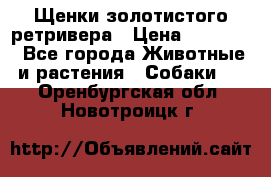 Щенки золотистого ретривера › Цена ­ 15 000 - Все города Животные и растения » Собаки   . Оренбургская обл.,Новотроицк г.